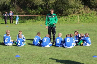 米兰体育app在线下载-中国足球年度战术视频分析内容频次统计，中国足球战术风格